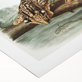 Romantic Era Art: "Ocelot or Leopard Cat" by John Woodhouse Audubon