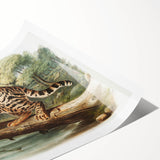 Romantic Era Art: "Ocelot or Leopard Cat" by John Woodhouse Audubon