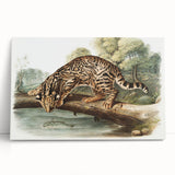 Romantic Era Art: "Ocelot or Leopard Cat" by John Woodhouse Audubon