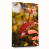 Large abstract wall art depicting autumnal trees in orange and red tones on acrylic glass.