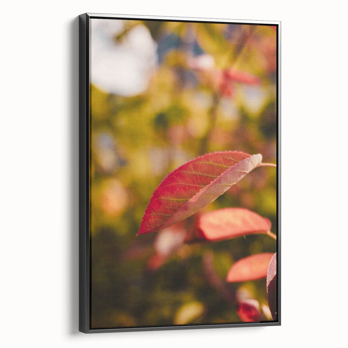 Black and white framed canvas featuring a vintage poster-style landscape painting, ideal for bedroom wall decor.