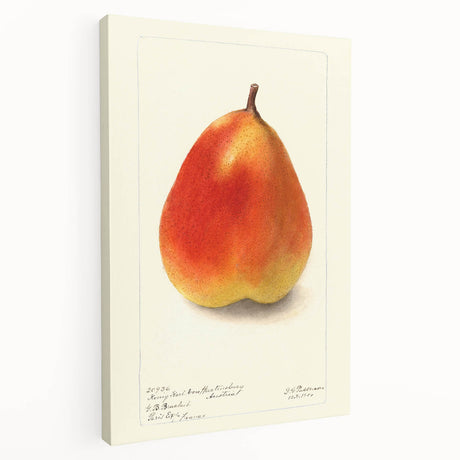 Large canvas print of assorted fruits in vibrant colors, ideal for kitchen wall art.