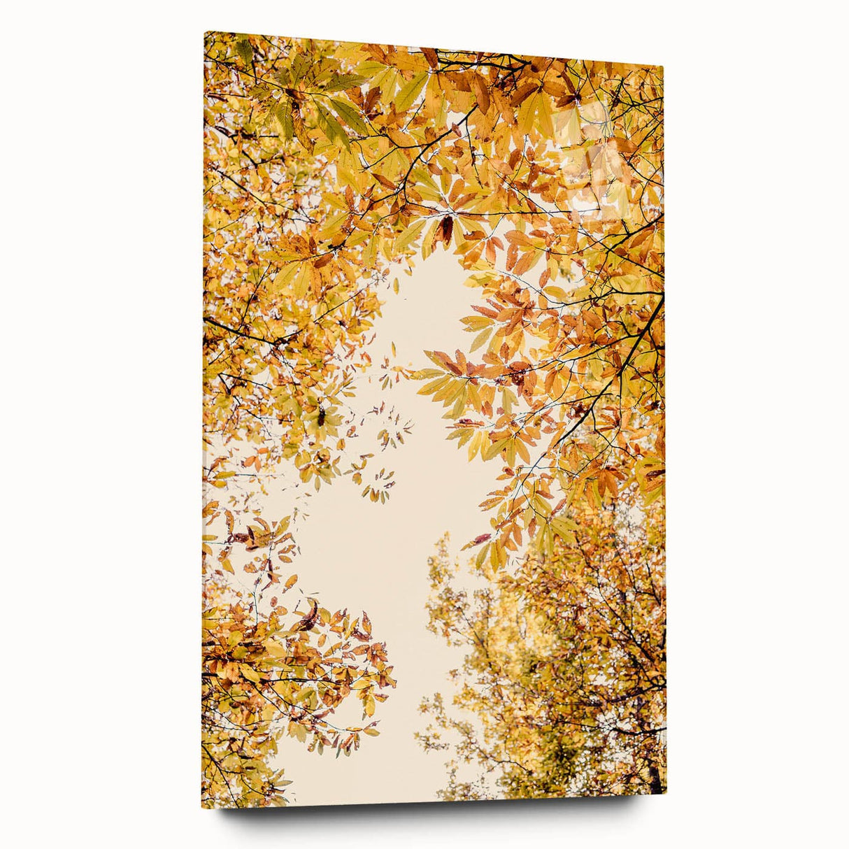 Large abstract wall art on acrylic glass depicting swirling autumn hues, ideal for bedroom or dining room decor.