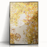 Mid-century modernist art depicting autumn trees in orange and red hues on a silver-framed acrylic print.