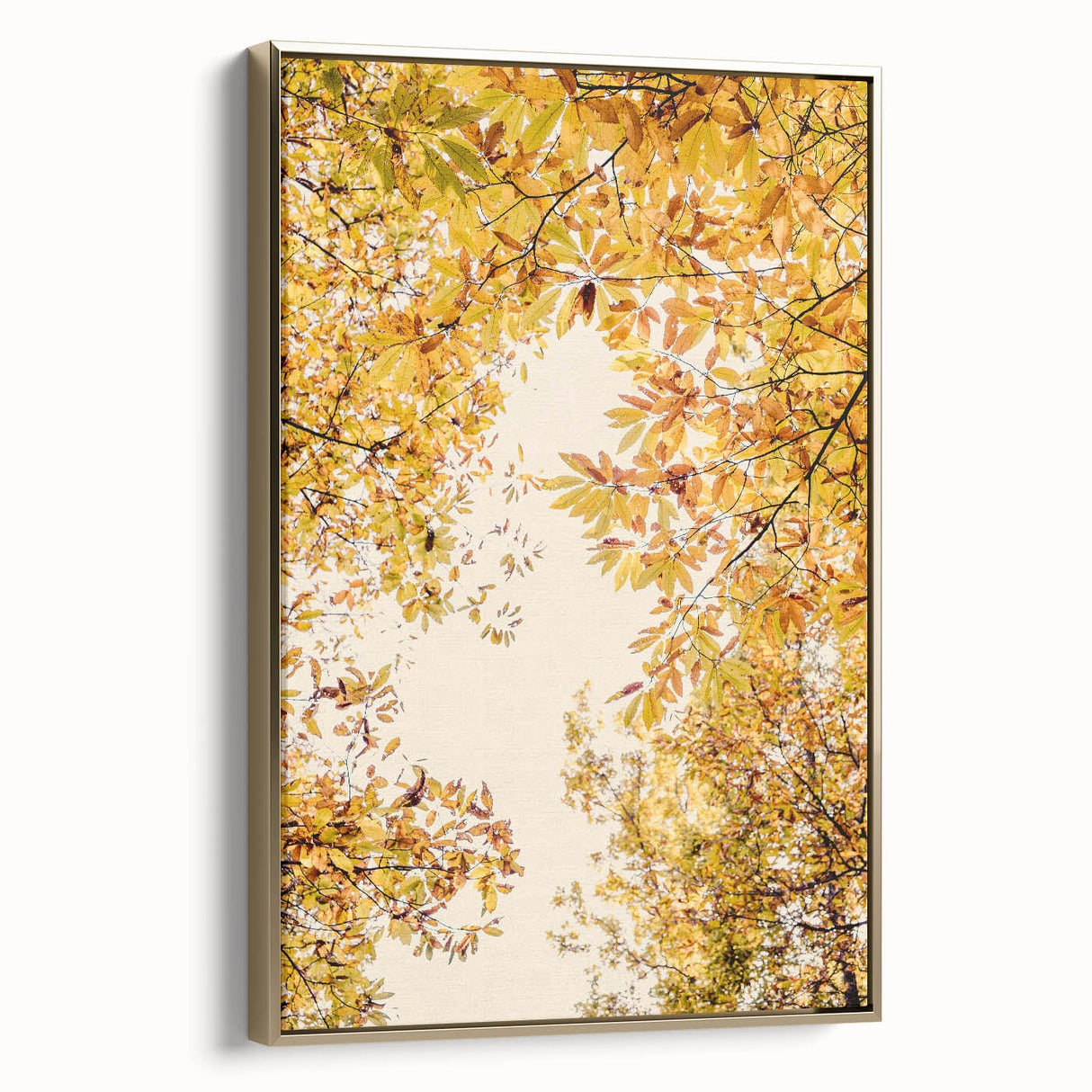 Framed canvas wall art featuring a vintage-style landscape with fall foliage in gold and black tones.