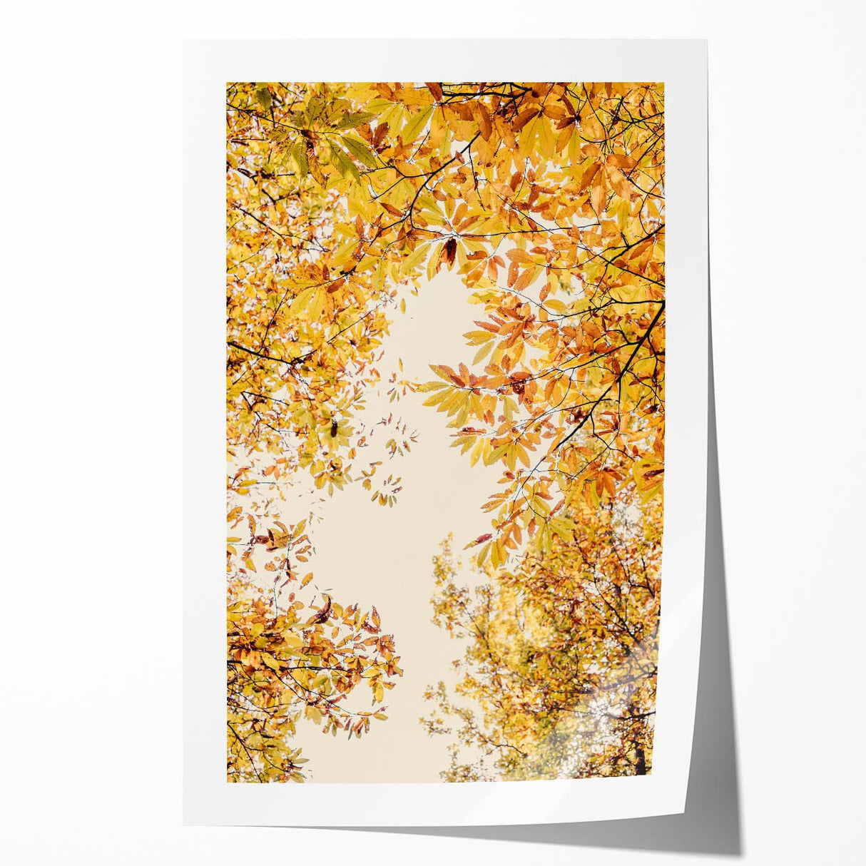 Extra large rolled print featuring a fall-themed floral design in warm red and orange tones.