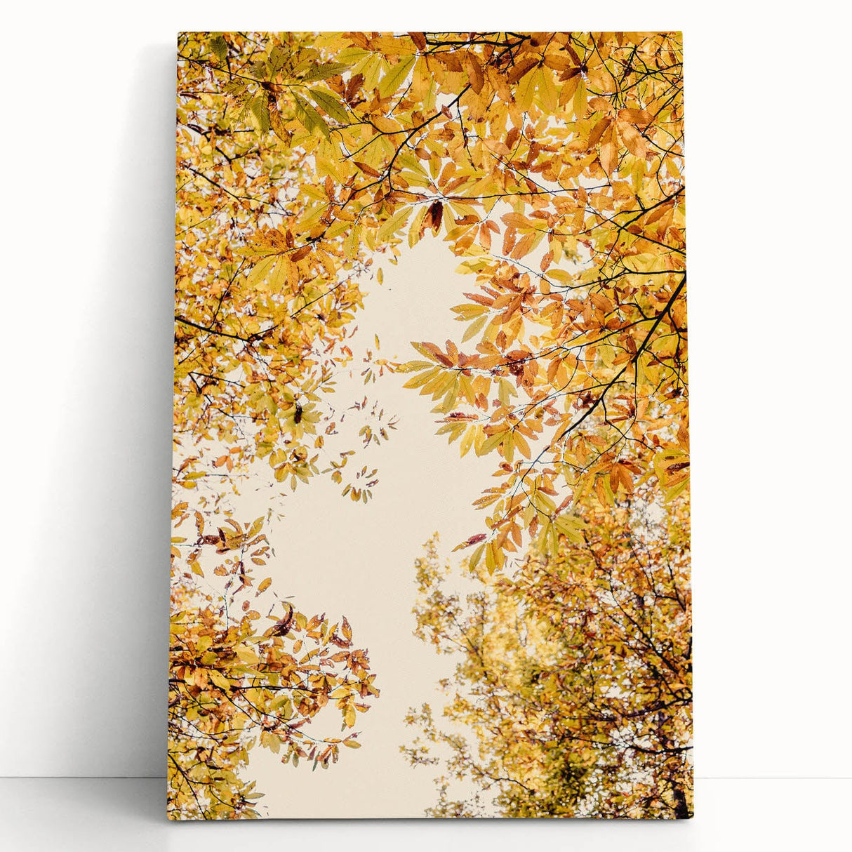 Black and white stretched canvas featuring a large, detailed tree in autumn, ideal for kitchen wall art.
