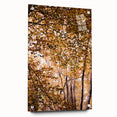 Large abstract wall art featuring fall-inspired hues on acrylic glass, ideal for bedroom or dining room decor.
