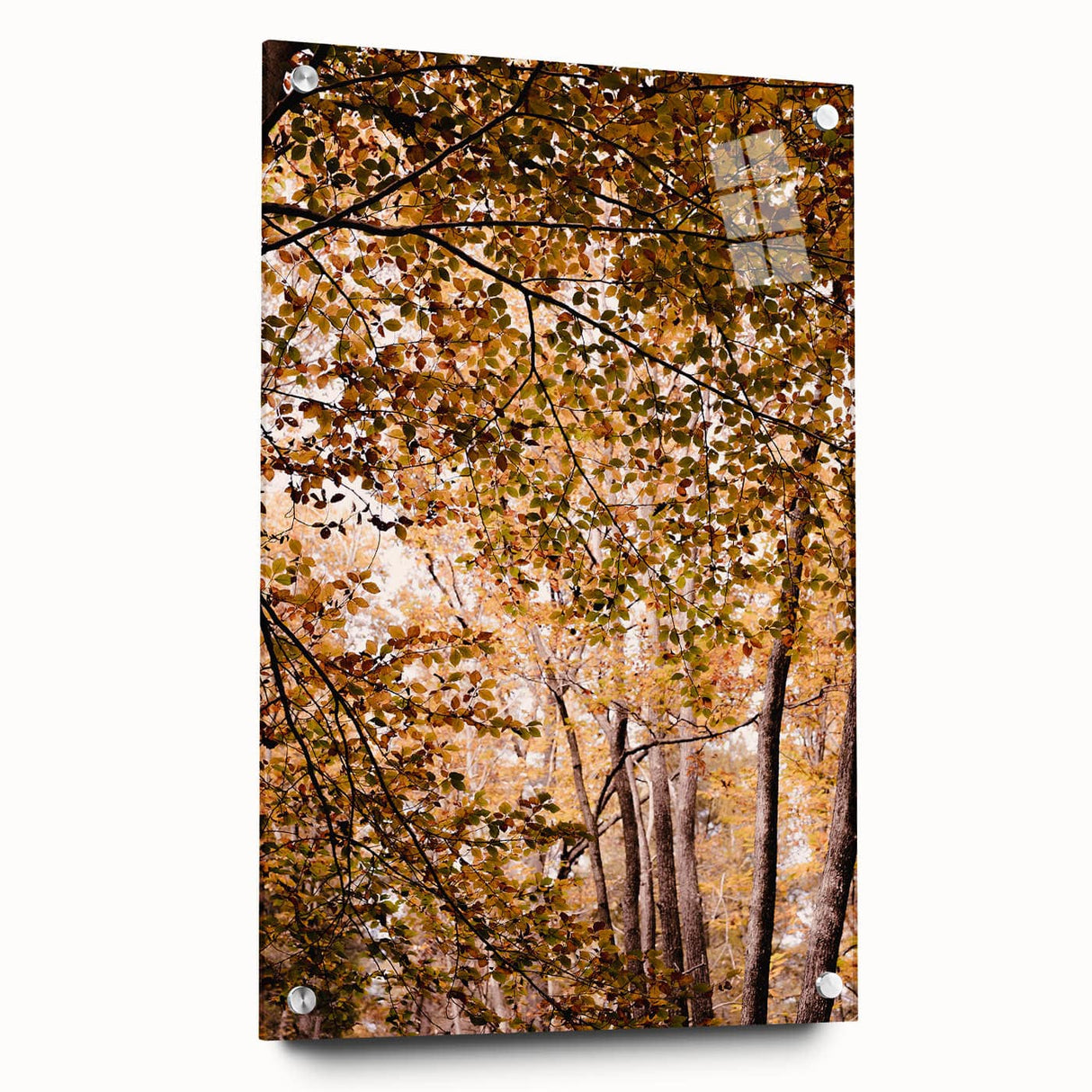Large abstract wall art featuring fall-inspired hues on acrylic glass, ideal for bedroom or dining room decor.
