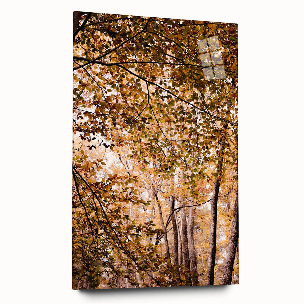 Large abstract wall art on acrylic glass depicting swirling autumn hues, ideal for bedroom or dining room decor.