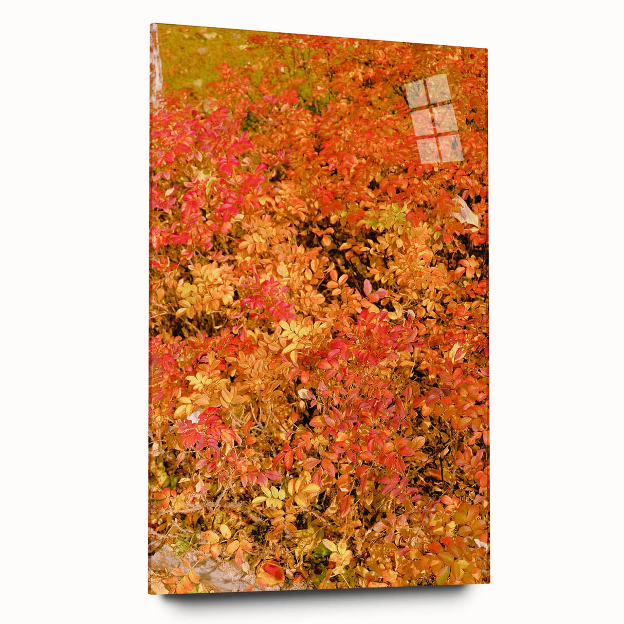 Large abstract wall art in warm autumn hues on acrylic glass, suited for bedroom or dining room decor.