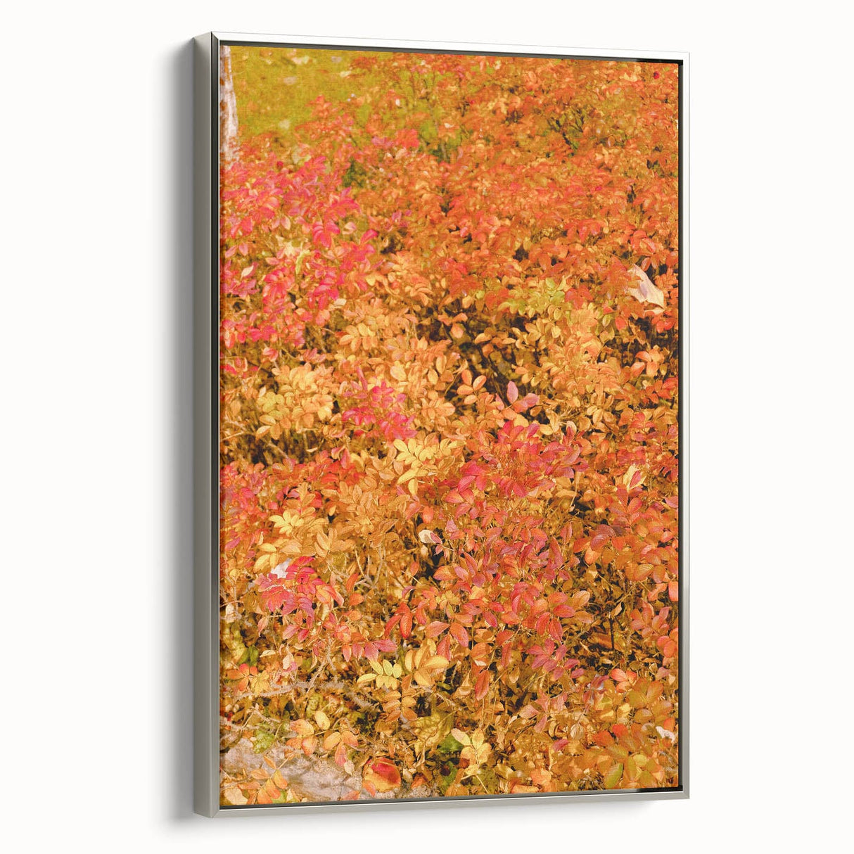 Framed canvas depicting a vintage-style landscape with autumn trees in vibrant orange and red tones.