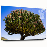 Large abstract wall art depicting Ethiopian scenery in muted earth tones on acrylic glass.