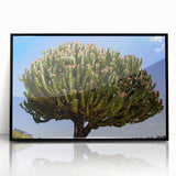 Large abstract wall art depicting Ethiopian scenery in black and white tones on a framed acrylic, suitable for modern decor.