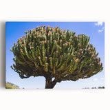 Large black and white acrylic print of an Ethiopian landscape, ideal for kitchen wall art.