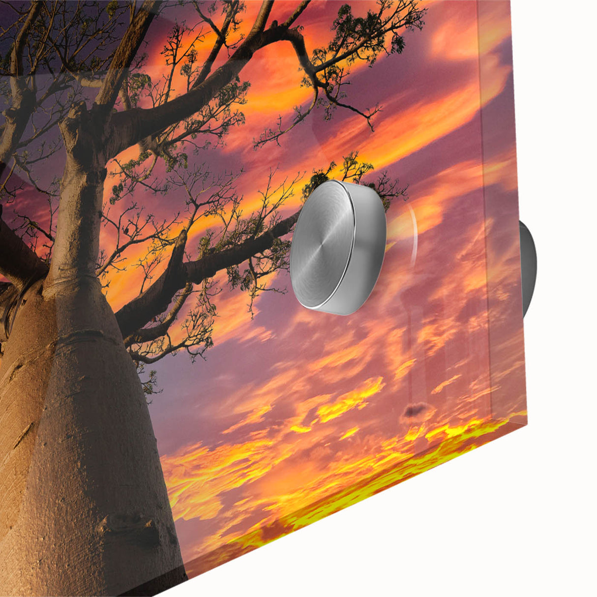 Mid-century modernist acrylic print of a large abstract Madagascar scenery in earth tones, ideal for dining room art.