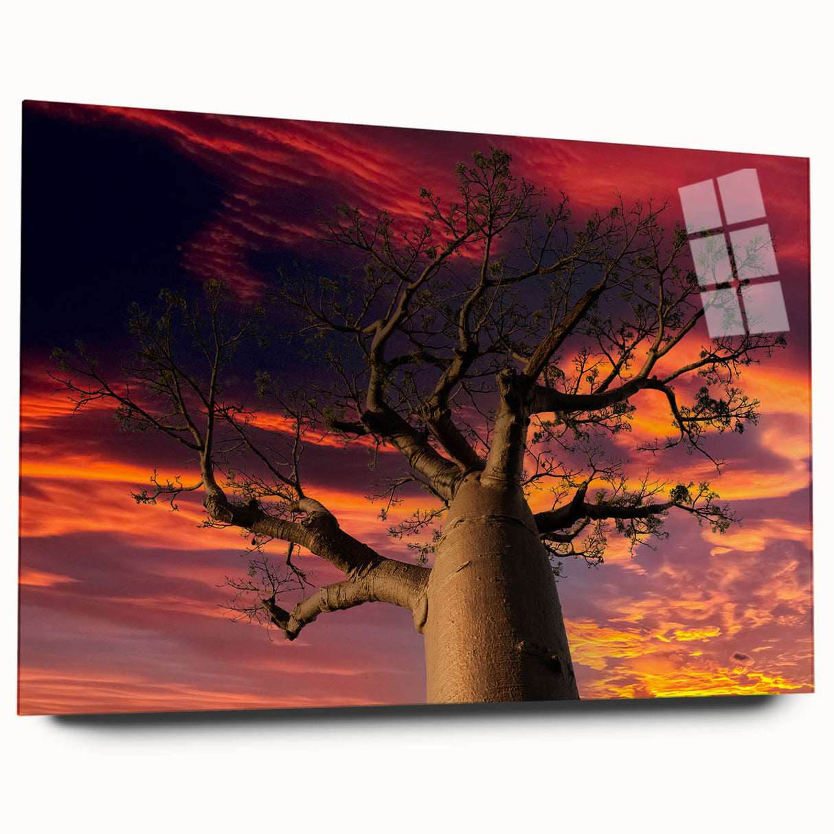 Large abstract wall art of Madagascar scenery in muted earth tones on acrylic glass.
