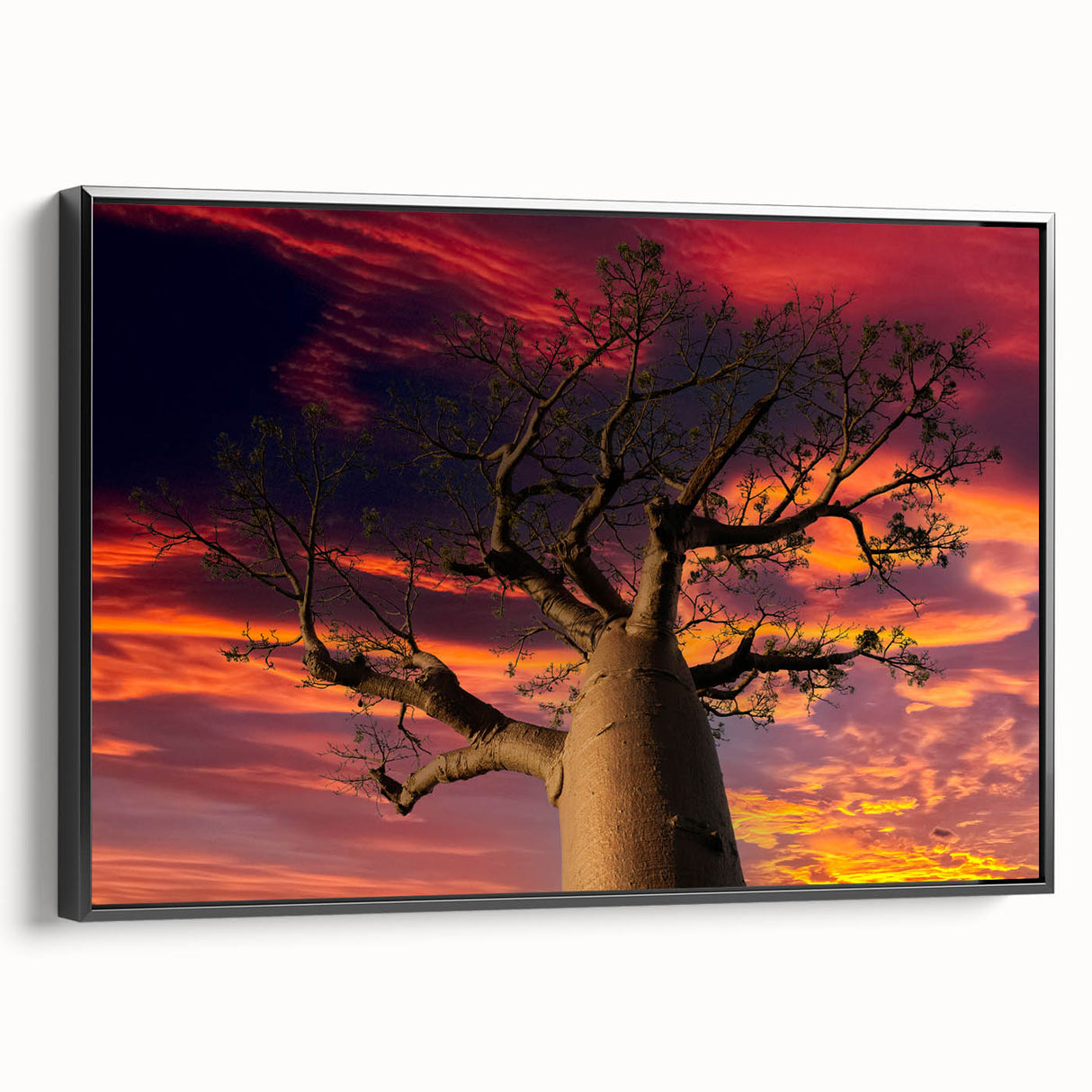 Black and white framed canvas of a Madagascar landscape, suitable as wall art for a bedroom.