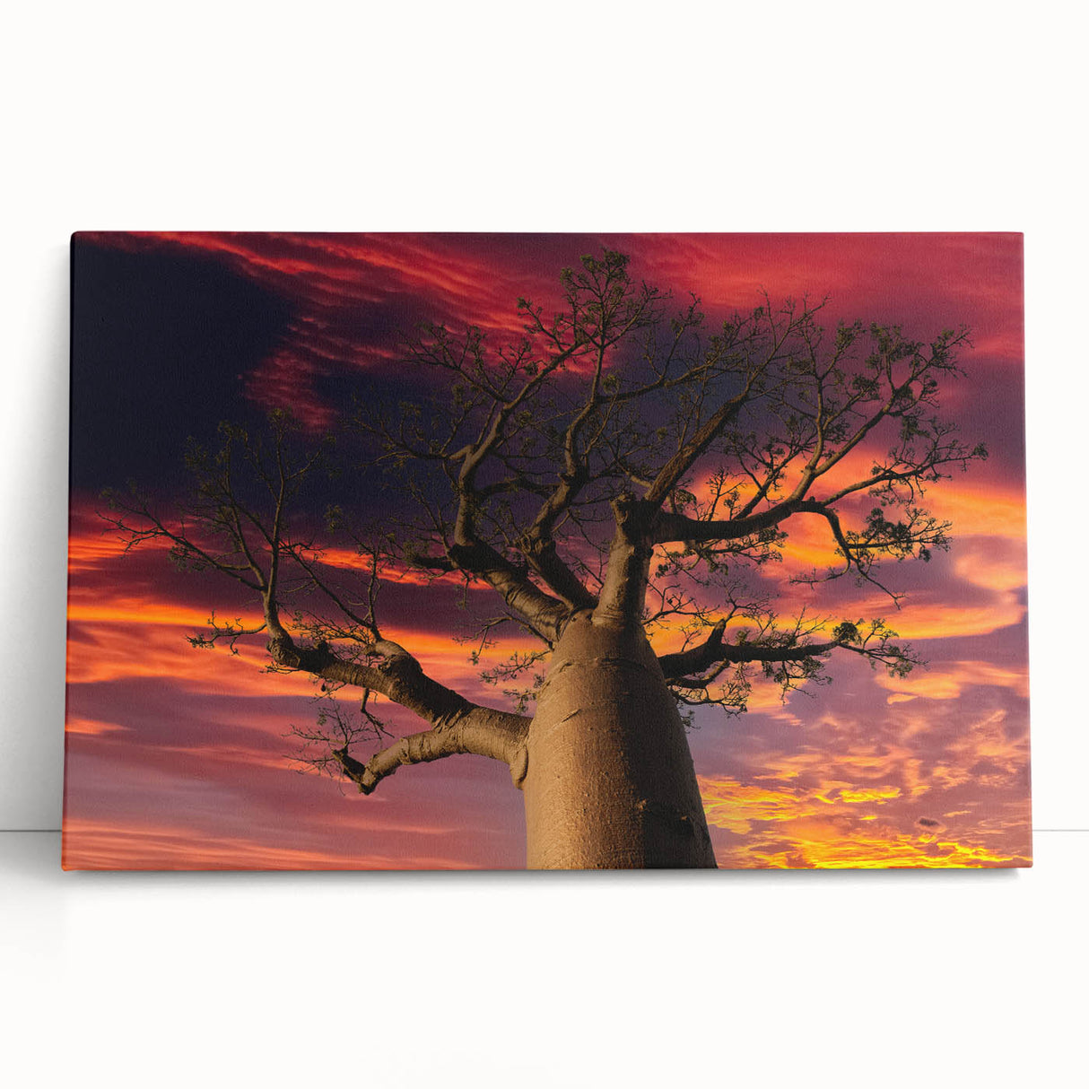 Large black and white stretched canvas featuring a Madagascar scenery, suitable as kitchen wall art or for bedroom ambiance.