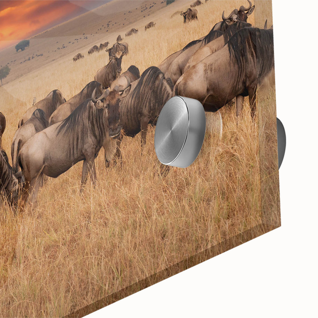 Large abstract depiction of Tanzanian scenery on acrylic glass, featuring earthy tones, ideal for dining room art.