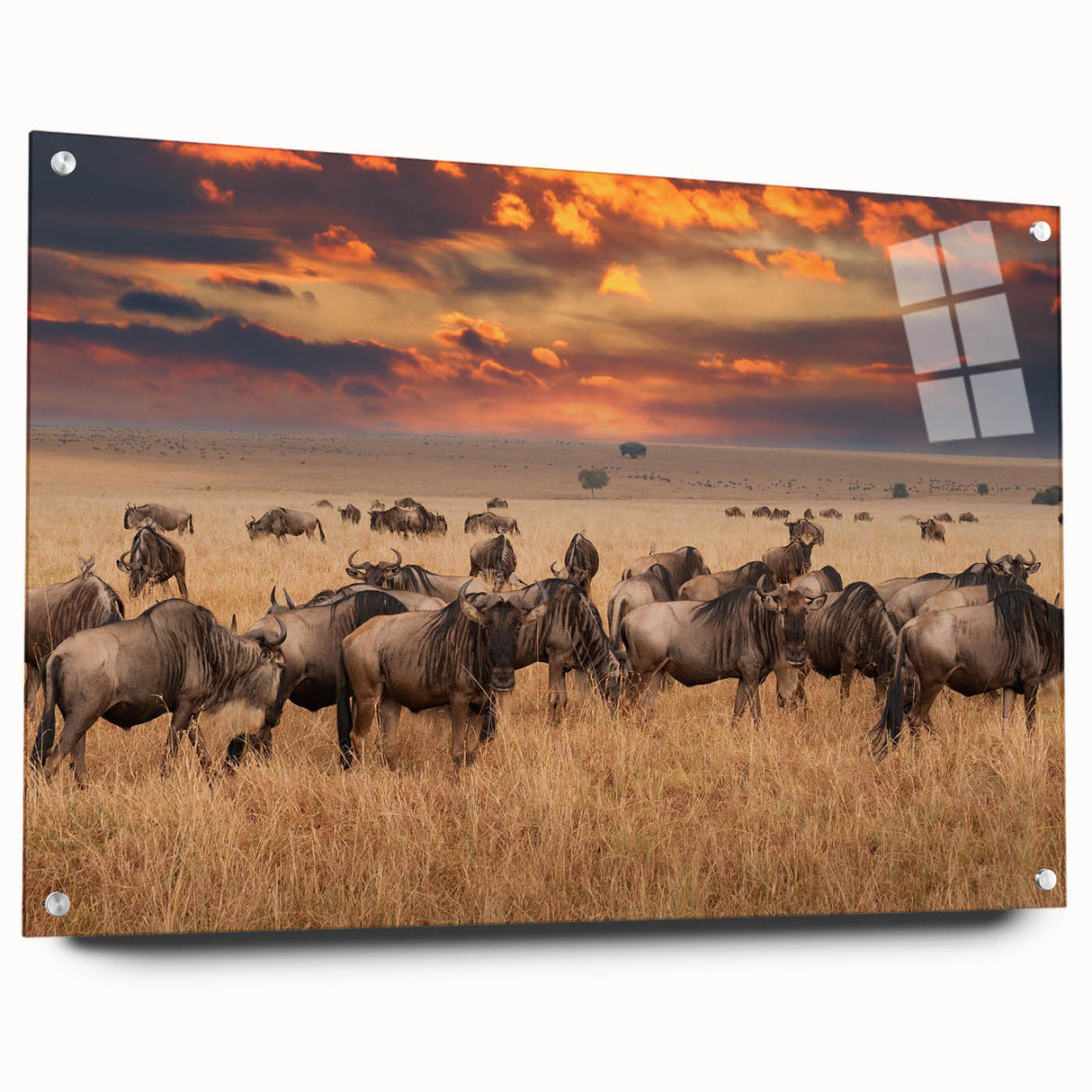 Acrylic glass print of a serene Tanzanian landscape in earth tones, suitable for bedroom or dining room decor.