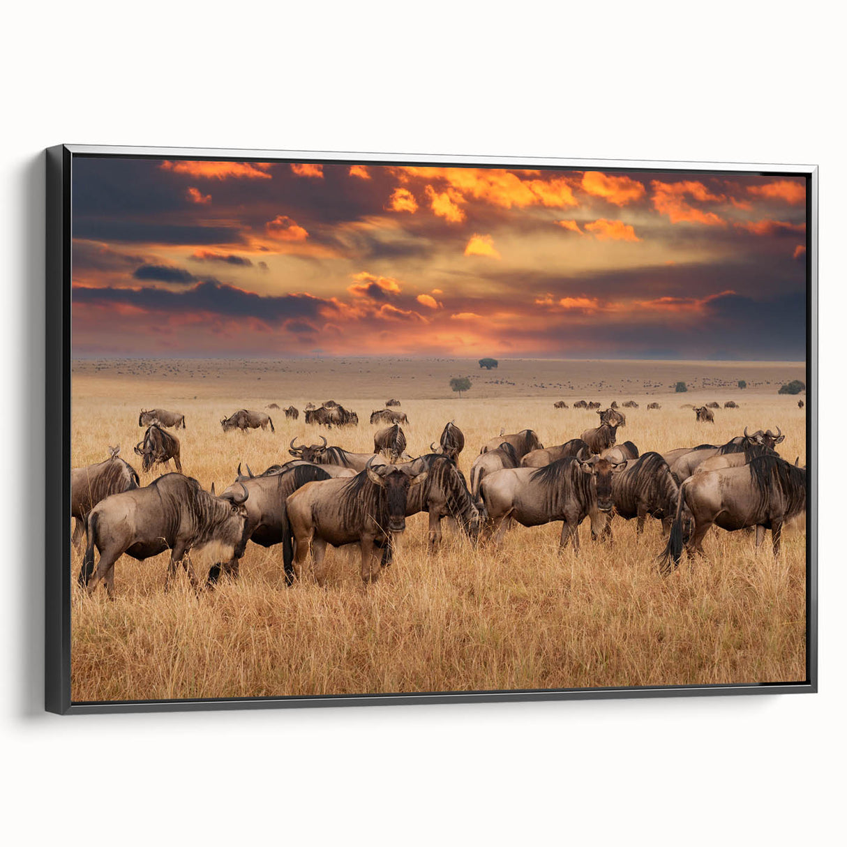Black and white wall art of a Tanzanian landscape on framed canvas, ideal for bedroom decor.