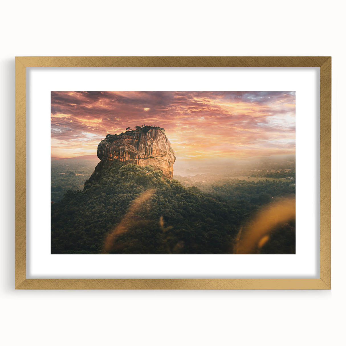 Extra large abstract art print of a textured Sri Lankan landscape in muted gold and green tones on a framed canvas.