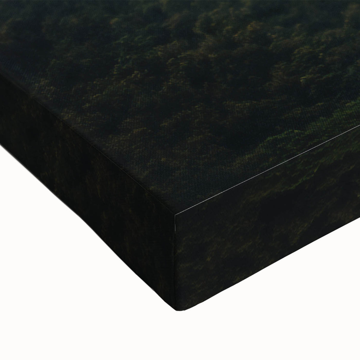 Black and white landscape art painting of a Sri Lankan scenery on large stretched canvas, suitable for bedroom decor.