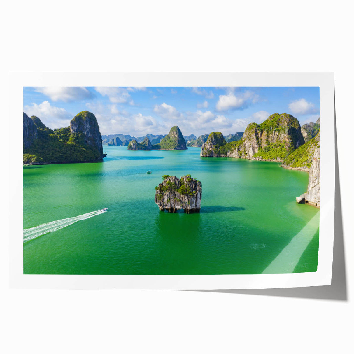 Extra large rolled print depicting a serene Vietnamese landscape with lush florals in soft green and pink tones.