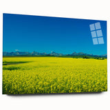 Acrylic print of a large abstract depiction of Alberta, Canada, in muted earth tones, ideal for bedroom or dining room art.