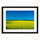 Extra large abstract art print depicting a textured, colorful scene of Alberta, Canada, in a black frame.