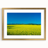 Extra large abstract art print depicting Alberta's scenery in textured gold frame, ideal for living room decor.