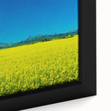 Extra large framed canvas featuring a textured depiction of Alberta, Canada scenery in black with colorful accents.