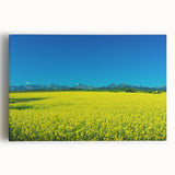 Black and white photograph of Alberta, Canada scenery on large stretched canvas, ideal for kitchen wall art.