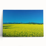 Black and white photograph of Alberta scenery on stretched canvas, ideal for kitchen wall art or bedroom decor.