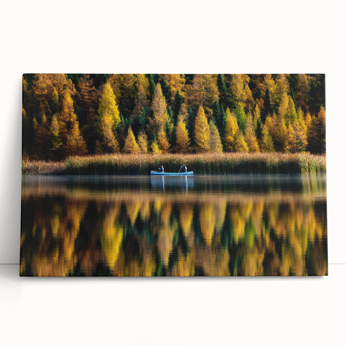 Black and white stretched canvas of Manitoba scenery, ideal for kitchen wall art or bedroom ambiance.
