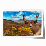 Scenic Yukon landscape on extra large rolled canvas, featuring vibrant greens and blues, ideal for dining room wall art.