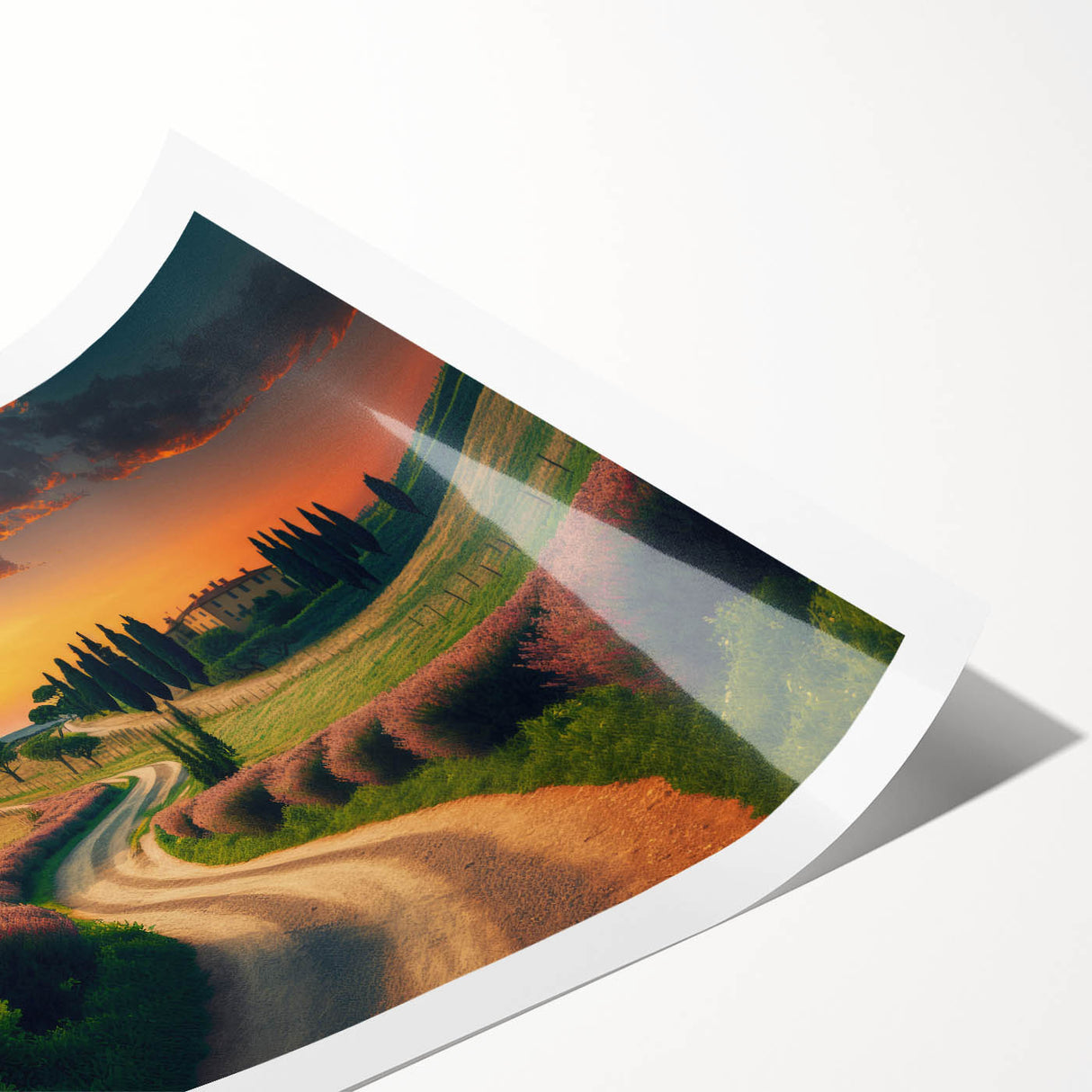 Extra large wall art depicting the Tuscan landscape, featuring line art flowers in muted earth tones on rolled canvas.
