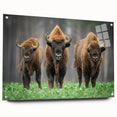 Acrylic glass print of a Polish landscape with lush greenery and river, ideal for dining room decor.