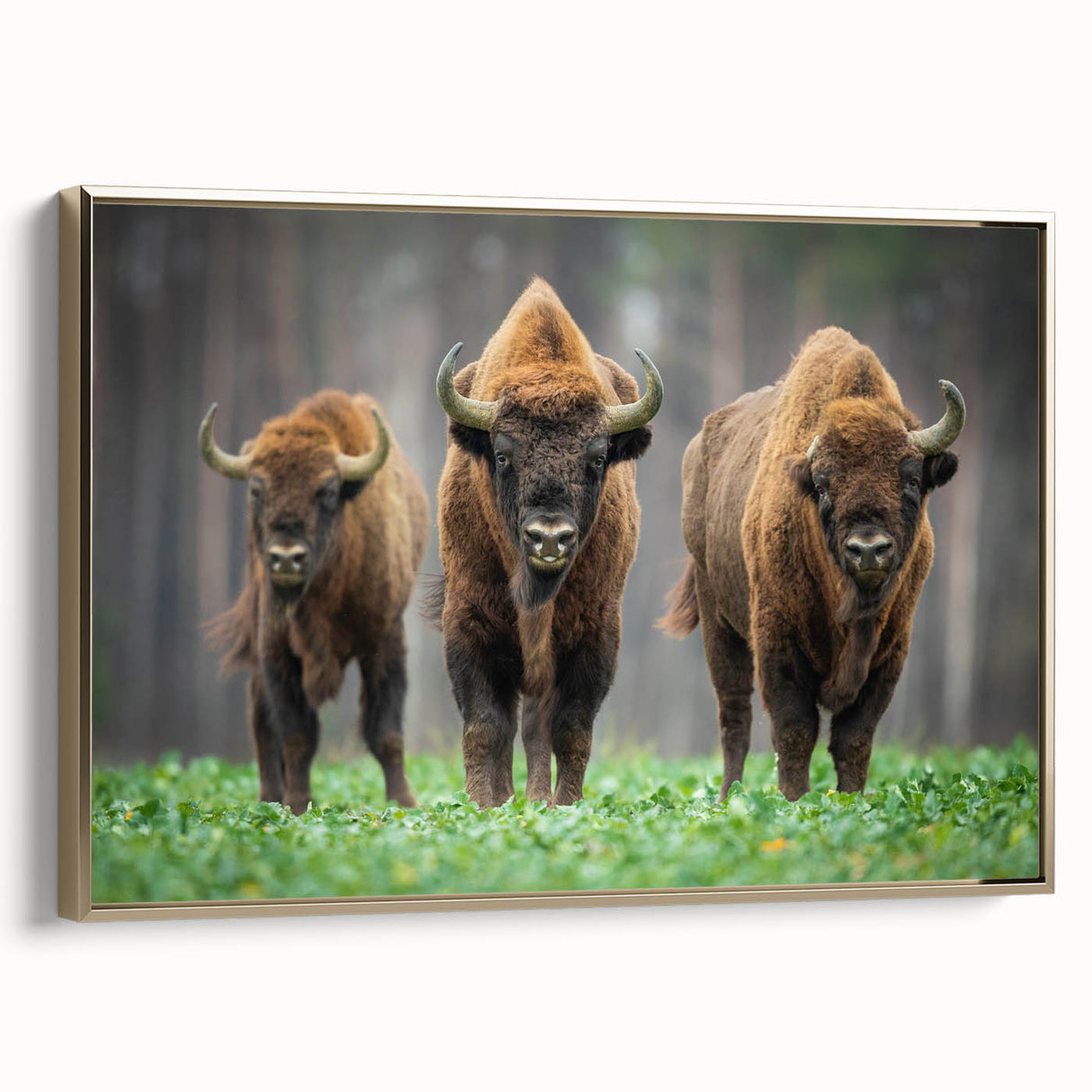 Framed canvas depicting a vintage-style landscape of a Polish scenery in gold and black tones, ideal for bedroom wall decor.