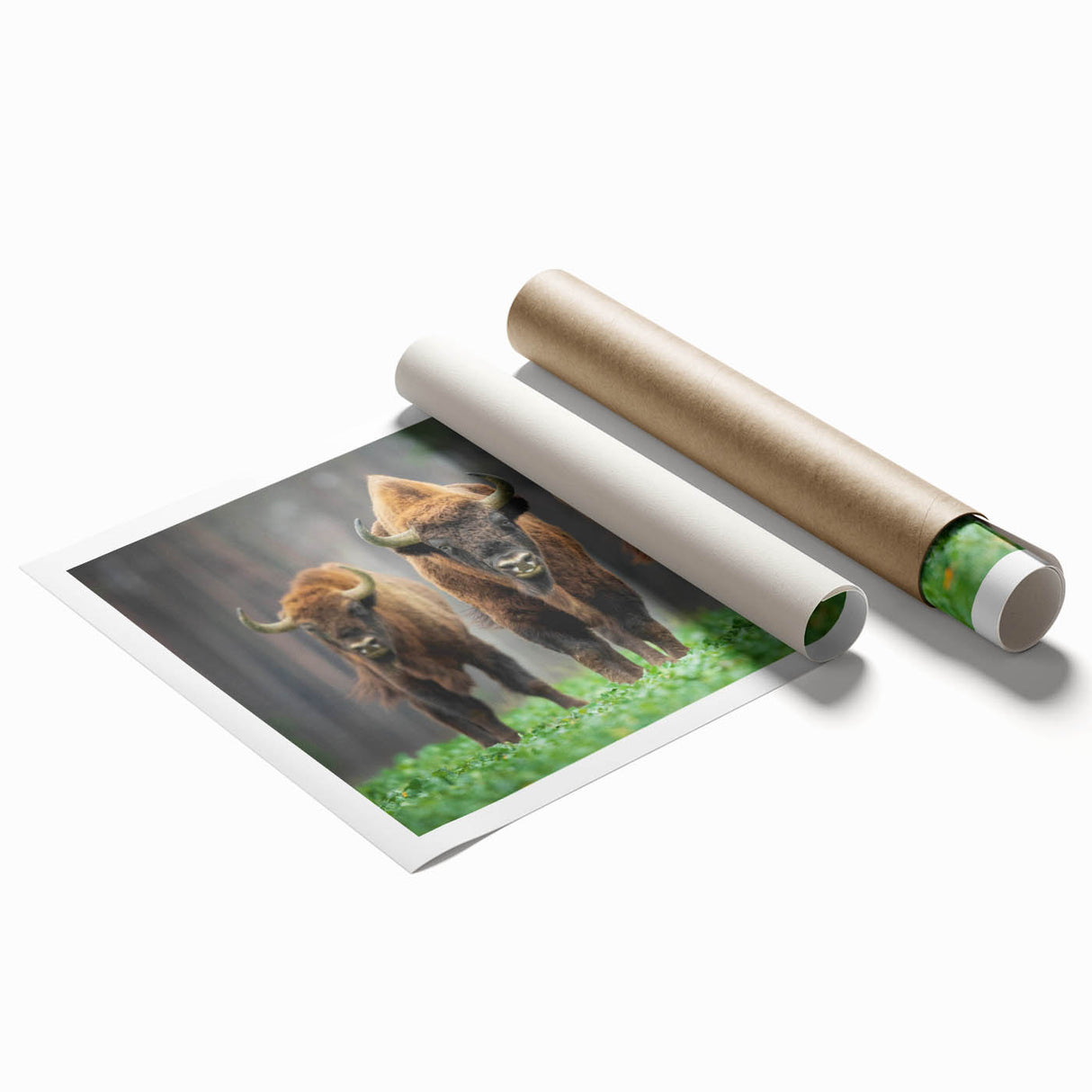 Extra large rolled print depicting vibrant floral scenery in Poland, suitable for classy bathroom or large living room decor.
