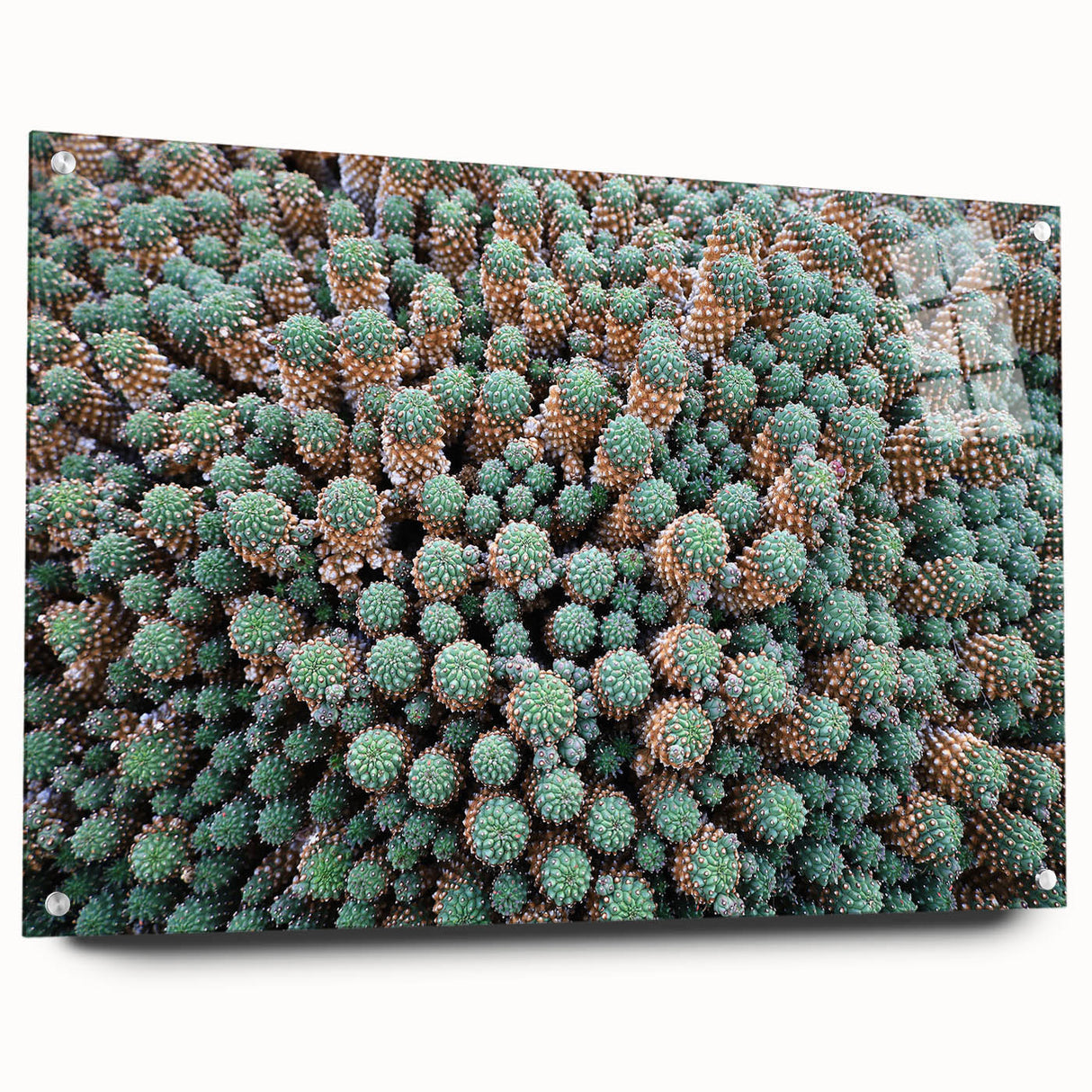 Acrylic print of a large abstract landscape in earthy tones, suitable for bedroom or dining room decor.