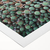 Art deco poster featuring a vibrant scene of the Canary Islands on a rolled canvas, suitable for dining room decor.