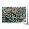 Rolled print of a European scenery with vibrant floral elements on a large canvas, ideal for dining room decor.