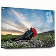 Acrylic print of a large abstract depiction of the Galápagos scenery, featuring earthy and blue tones.