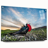 Acrylic print of a large abstract depiction of the Galápagos scenery, featuring earthy and blue tones.