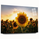 Large abstract wall art depicting the Kansas scenery in muted earth tones on acrylic glass.