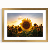 Extra large canvas featuring textured abstract art prints of Kansas scenery in muted earth tones.
