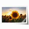 Rolling Kansas landscape in muted greens and blues on a large rolled canvas, suitable for dining room or bathroom decor.