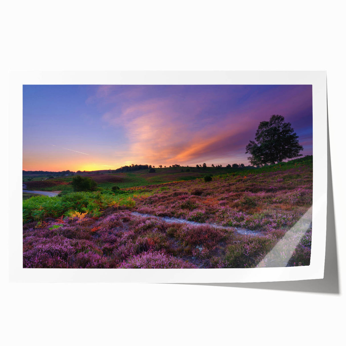 Rolled print of a New Hampshire landscape featuring lush greenery and flowers, ideal for art wall dining room.